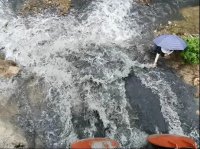 氨氮濃度超地表水Ⅲ類標準15.3倍，廣東茂名被公開通報！